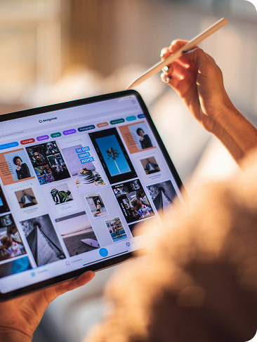 Website Development & Management
