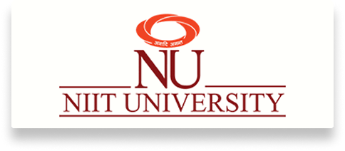 NIIT University